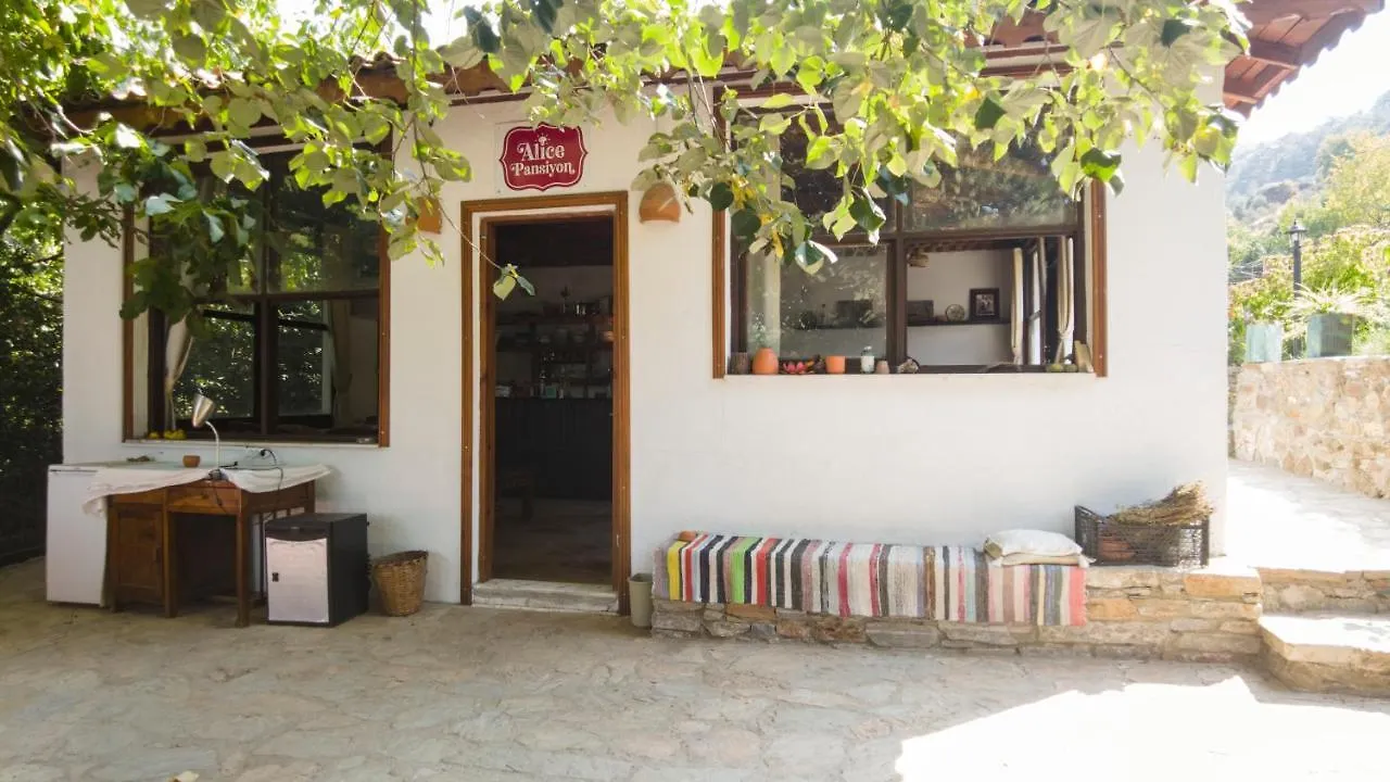 Alice Mountain House 0*, סלצ'וק
