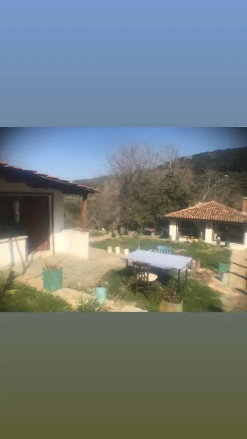Alice Mountain House סלצ'וק