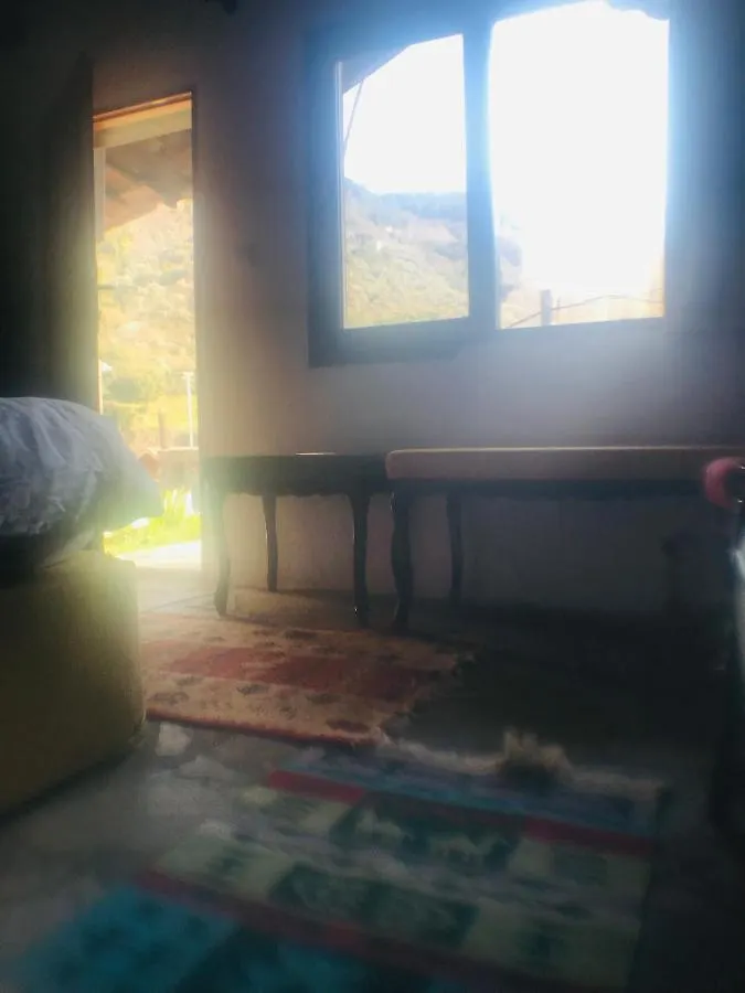בית אירוח Alice Mountain House